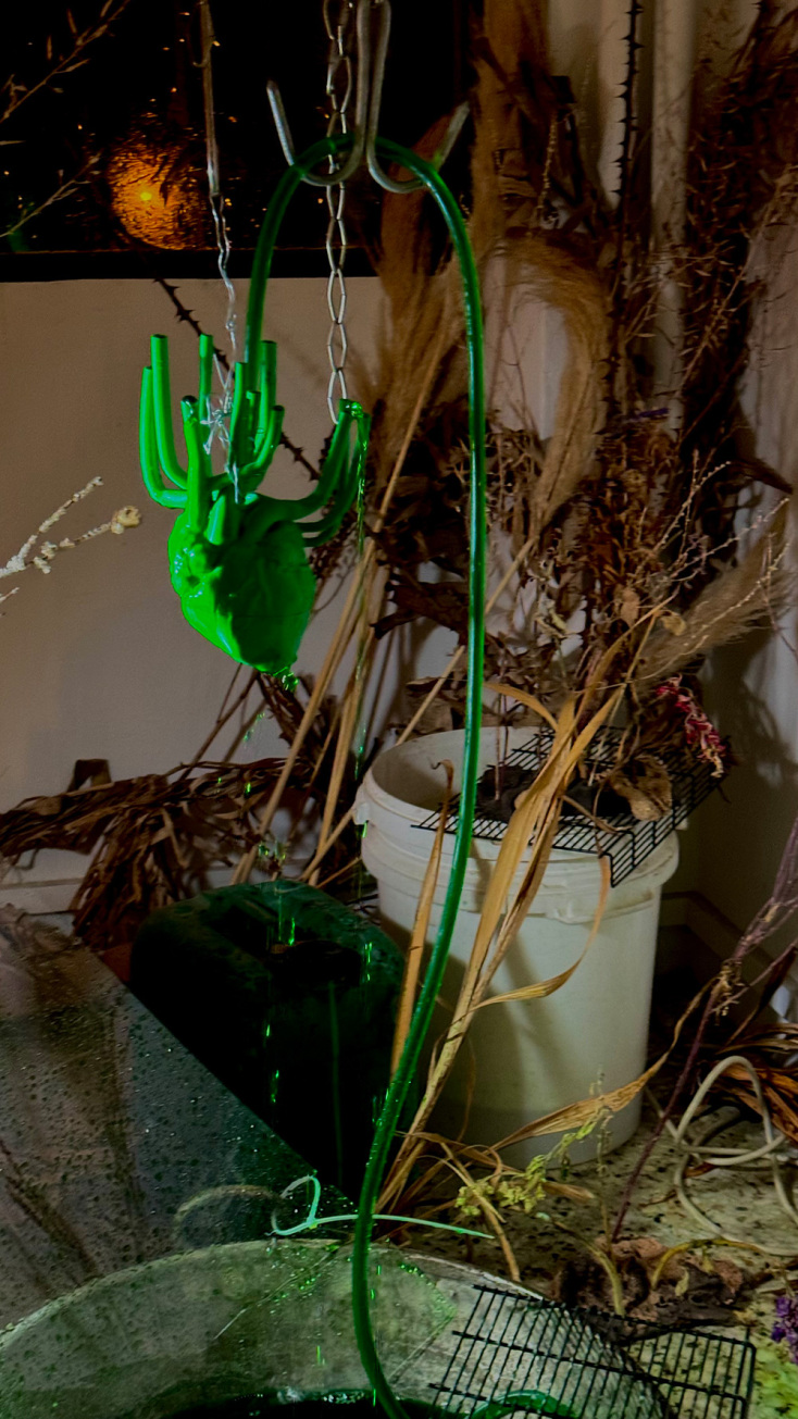 Αναστάσης Παναγής Μελέτης, «Tales of the green heart» στο Okay Space