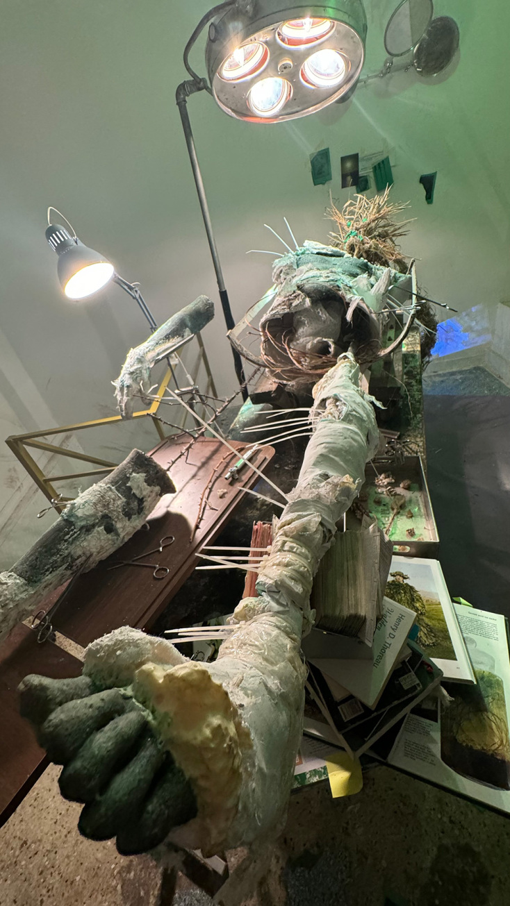 Αναστάσης Παναγής Μελέτης, «Tales of the green heart» στο Okay Space