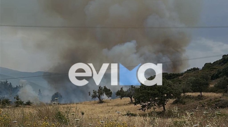 Φωτιά στην Εύβοια στην περιοχή Σάμαρη