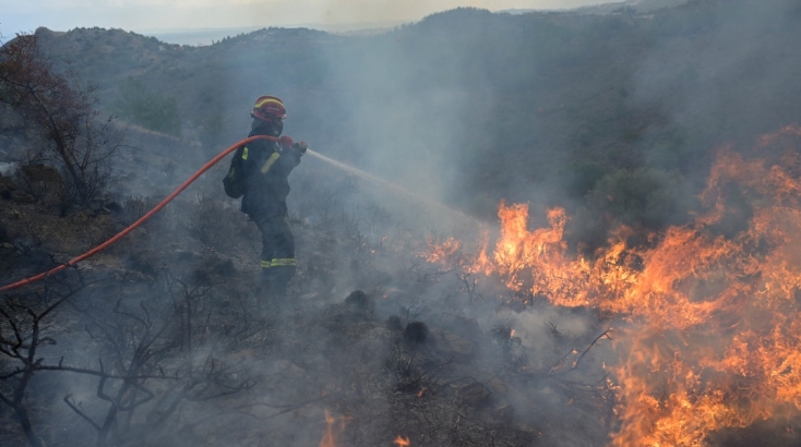 Στην Ελλάδα δεν υπάρχει συστηματική τεκμηρίωση της συμπεριφοράς δασικών πυρκαγιών, ούτε επίσημο σχετικό αρχείο.