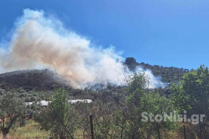 Φωτιά τώρα στη Λέσβο