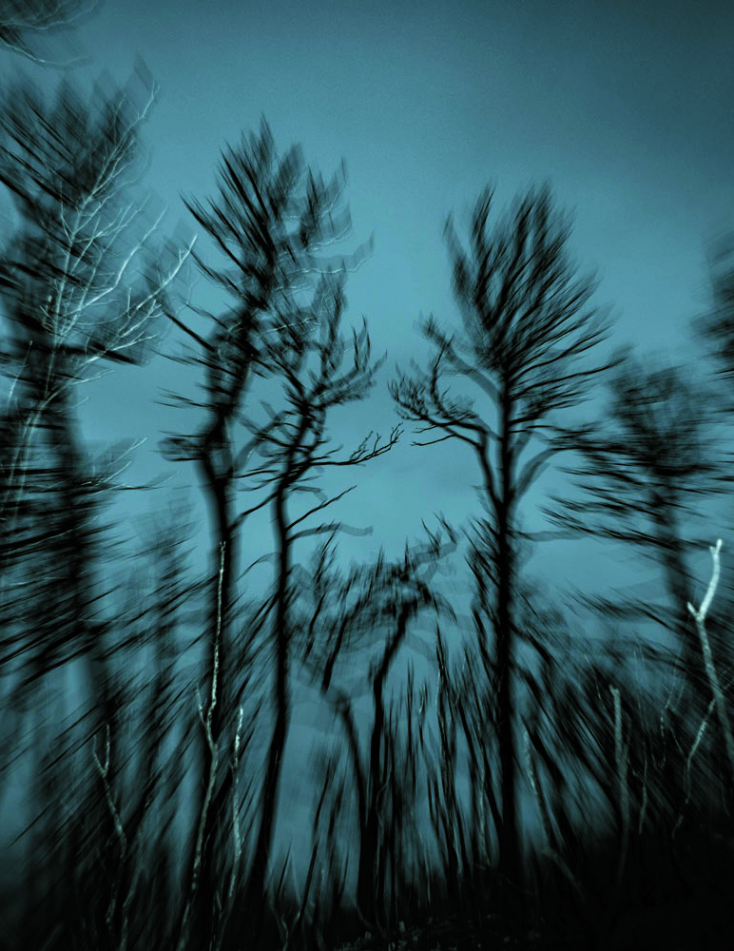 «Κολυμπώντας στο δάσος» στον Βοτανικό Κήπο Διομήδους 