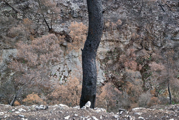 Περικλής Μπούτος: Συνέντευξη με τον φωτογράφο με αφορμή την έκθεσή του «Καταστροφή και Αναγέννηση» στην γκαλερί 7