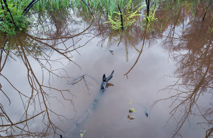 Περικλής Μπούτος: Συνέντευξη με τον φωτογράφο με αφορμή την έκθεσή του «Καταστροφή και Αναγέννηση» στην γκαλερί 7