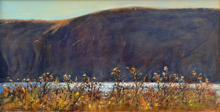 Όλγα Φεοχάρη, Γαϊδουράγκαθα, 2018, λάδι σε καμβά, 31 x 58 cm