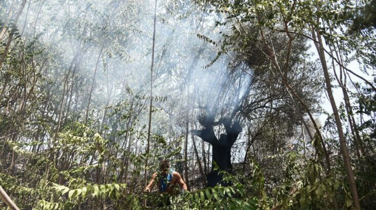 Φωτιά στην Πάτρα: Συγκλονιστικά καρέ από τις φλόγες που απείλησαν το Καραμανδάνειο