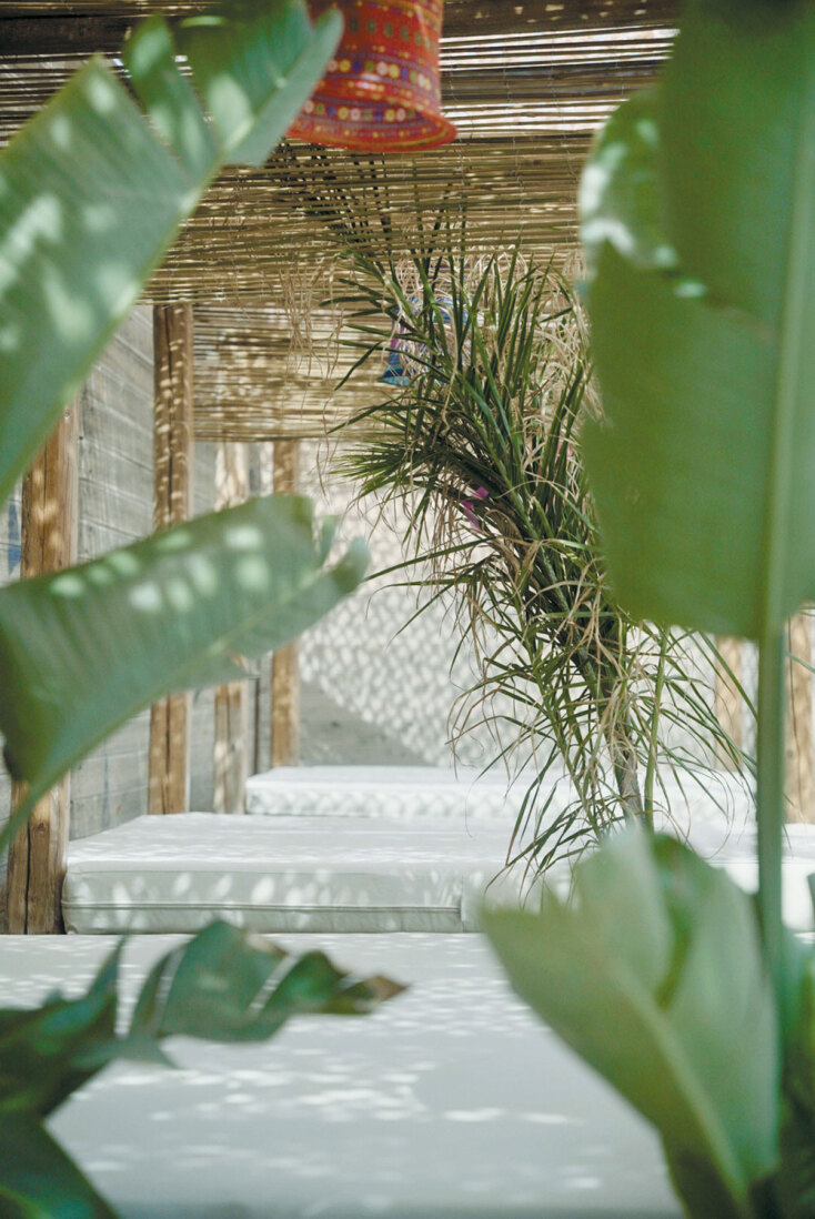 Ziba beach bar restaurant: Το συνώνυμο της καλοκαιρινής διασκέδασης στην Τήνο