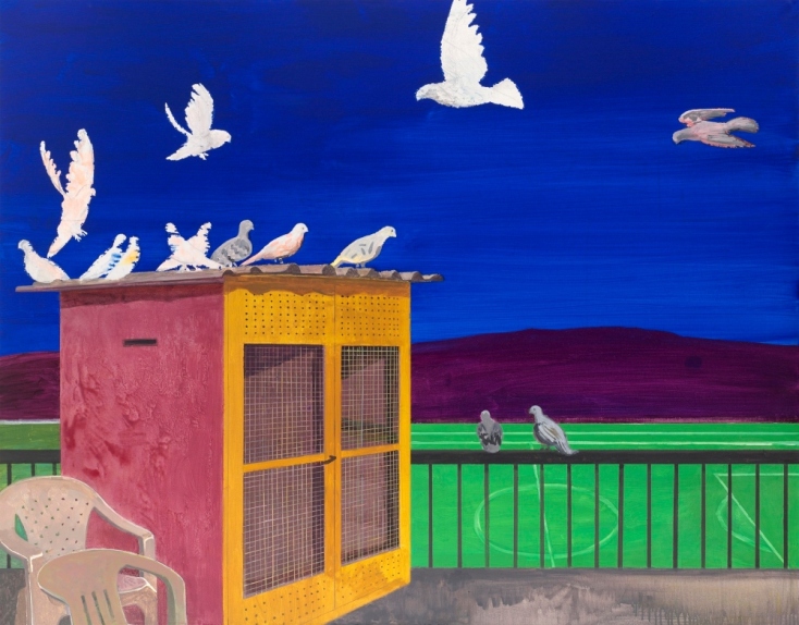 Περιστέρια: Ιπτάμενοι αρουραίοι