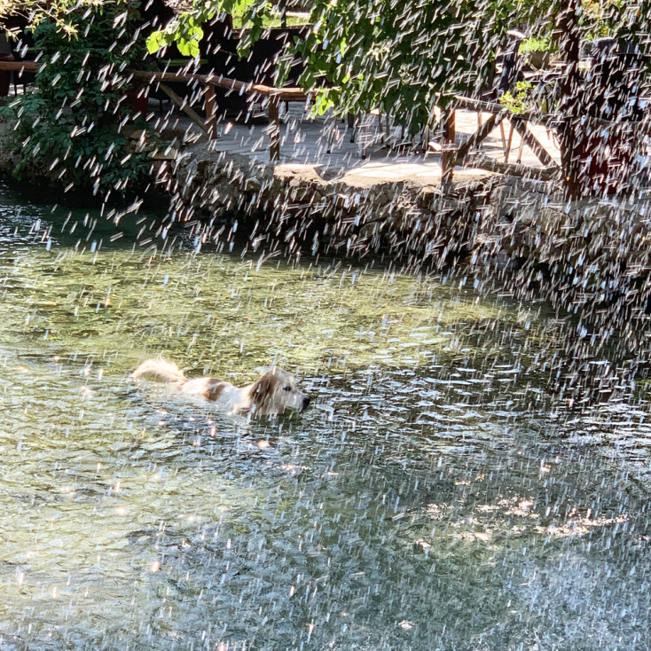 Ταβέρνα: Κρύα νερά