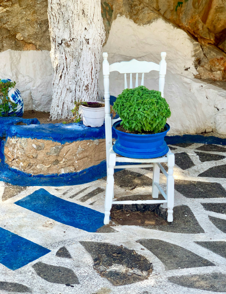 Χαρούμενα λουλούδια στο καλοκαιρινό «λιοπύρι»