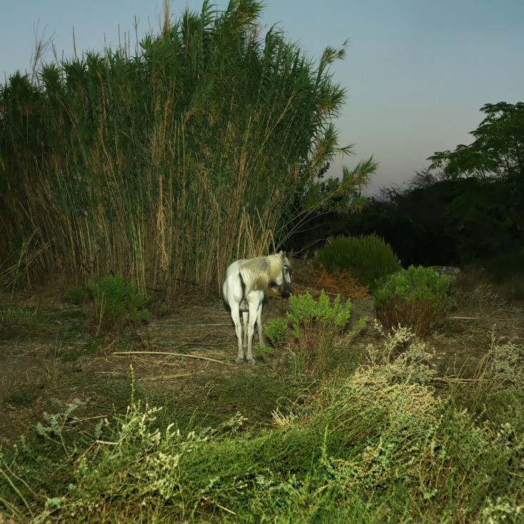 Kournos Music Festival 2024: Φεστιβάλ μουσικής στη Λήμνο