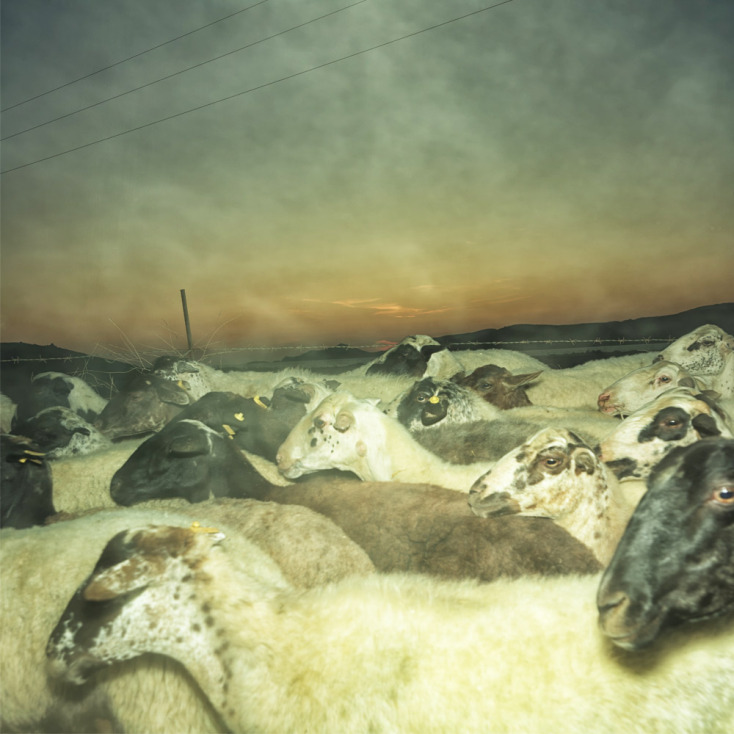 Kournos Music Festival 2024: Φεστιβάλ μουσικής στη Λήμνο