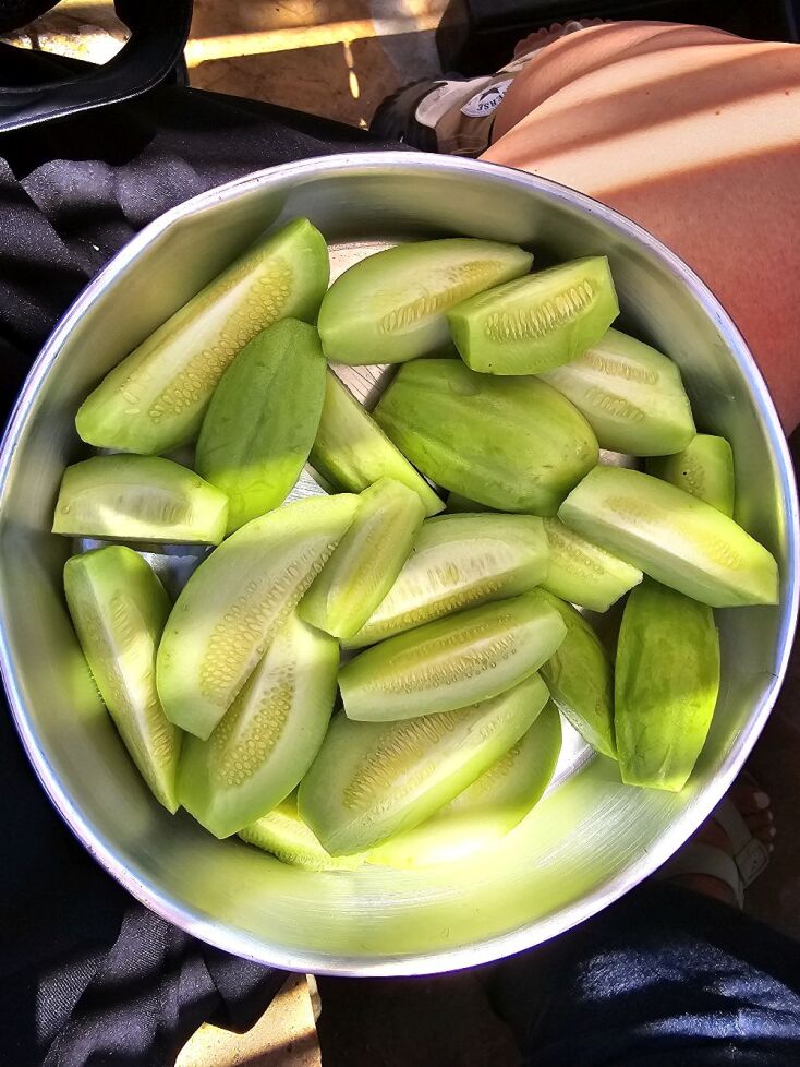 Ντόπιο κλωσάγγουρο