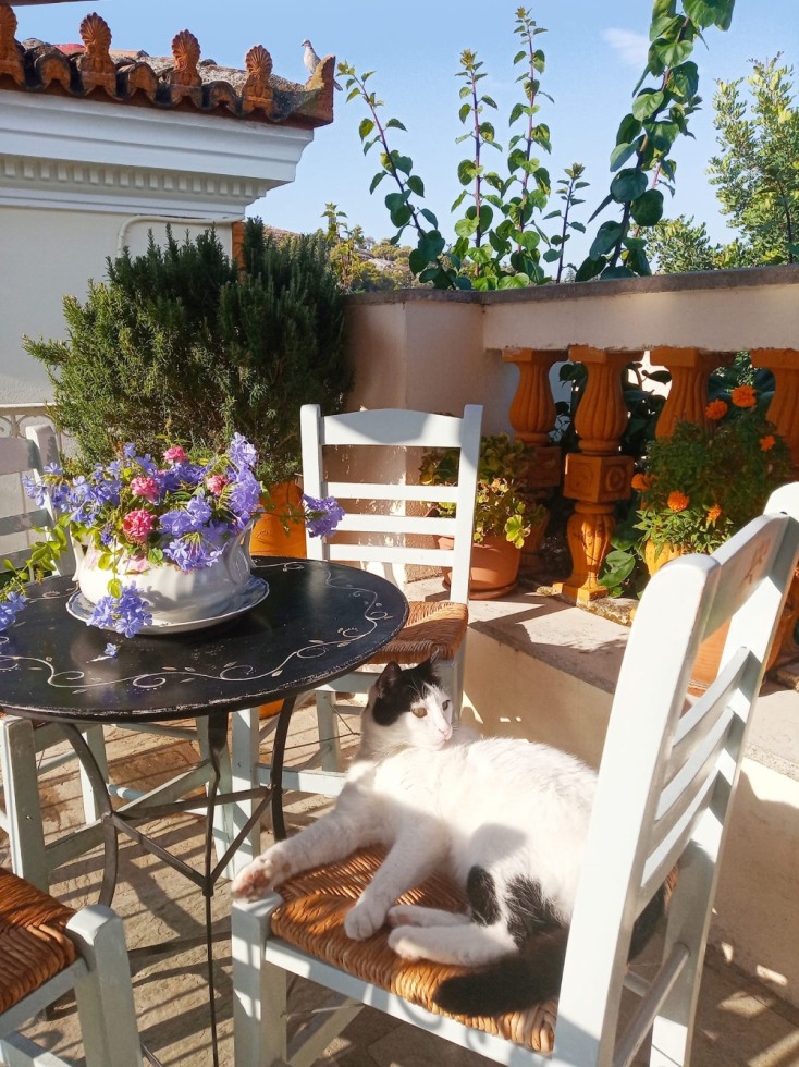 10 ταράτσες για ένα χαλαρό και δροσερό καλοκαίρι στην Αθήνα