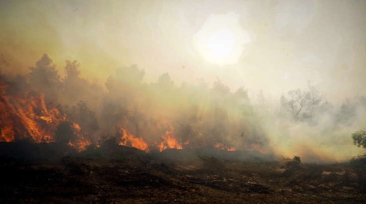 Μεγάλη η μάχη των πυροσβεστών με τις φλόγες στην Εύβοια