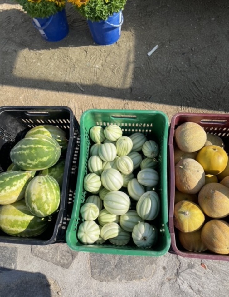 ΝΟΕ: Το νέο gastro bar της Μυκόνου