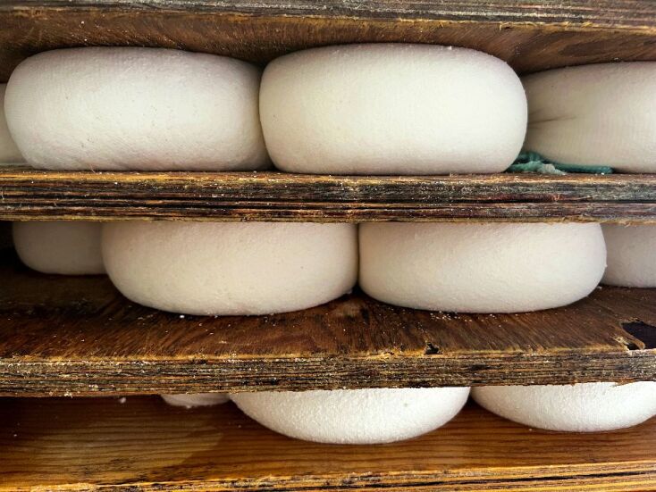 Τυροκομείο Κυριακάκης, Βόρεια Εύβοια