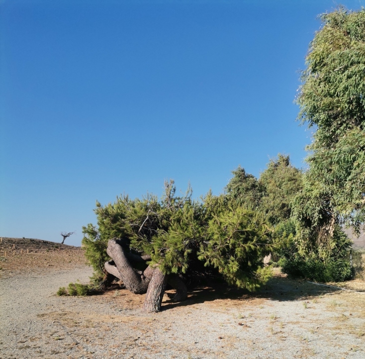 «Η δική μου Λήμνος»