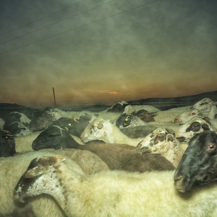 «Η δική μου Λήμνος»