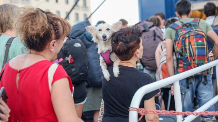 Κορυφώνεται η έξοδος των εκδρομέων ενόψει Δεκαπενταύγουστου - Σχεδόν στο 100% η πληρότητα στα πλοία