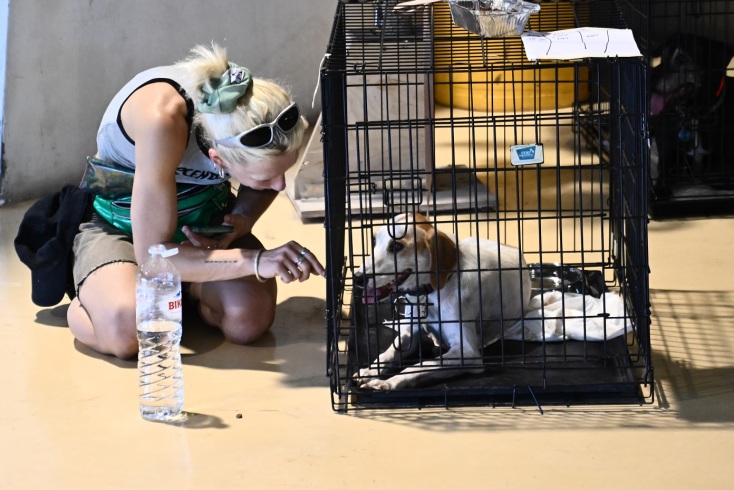 Φωτιά στην Αττική: Στο Κλειστό Ολυμπιακό Γυμναστήριο του Δήμου Γαλατσίου φιλοξενούνται 156 πυρόπληκτα ζώα - Ισχυρή συμμετοχή από την τοπική κοινωνία.