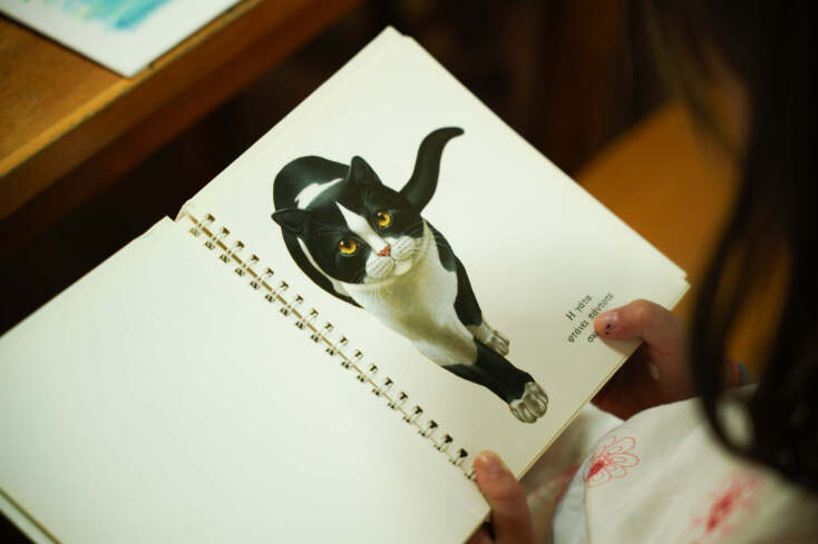 Δήμος Αθηναίων: «Αγκαλιά με ένα δέντρο συνυπάρχω» - Πρόγραμμα περιβαλλοντικής δημιουργικής απασχόλησης για παιδιά ηλικίας 7-12 ετών στον Εθνικό Κήπο