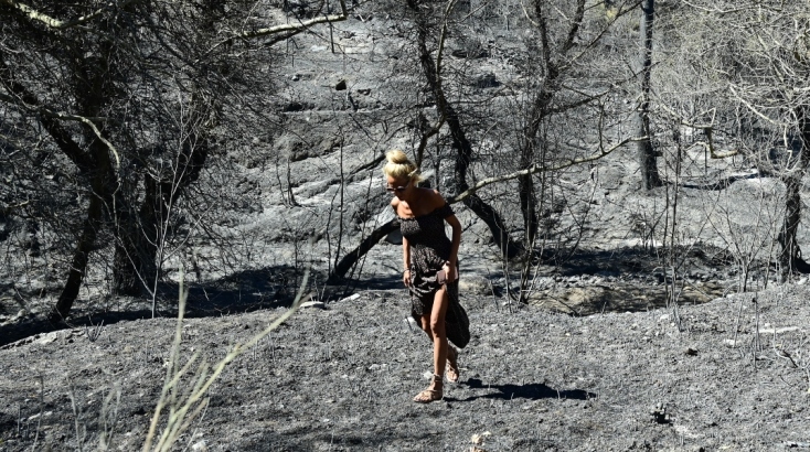 Φωτιά στην Αττική