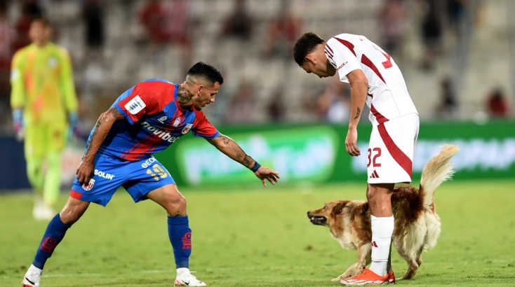 Χαριτωμένος σκύλος ήθελε τα χάδια του και διέκοψε τον αγώνα Βόλος-Ολυμπιακός