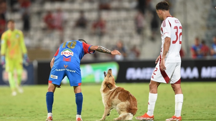 Χαριτωμένος σκύλος ήθελε τα χάδια του και διέκοψε τον αγώνα Βόλος-Ολυμπιακός