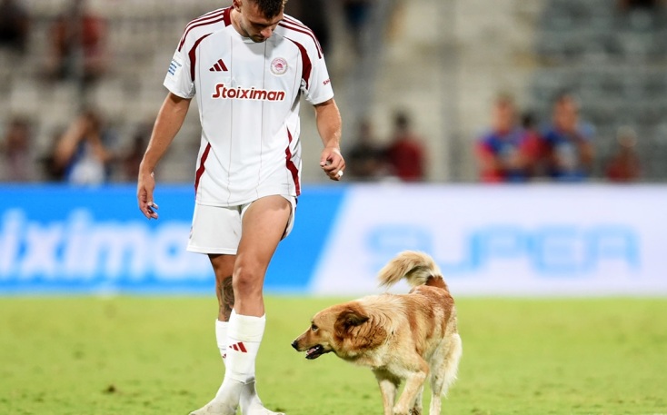 Χαριτωμένος σκύλος ήθελε τα χάδια του και διέκοψε τον αγώνα Βόλος-Ολυμπιακός