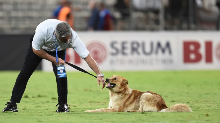 Χαριτωμένος σκύλος ήθελε τα χάδια του και διέκοψε τον αγώνα Βόλος-Ολυμπιακός