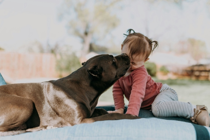 Πώς να ενσωματώσεις τη φροντίδα του κατοικιδίου σου στην καθημερινή σου ρουτίνα