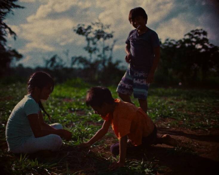 «Las Memorias Perdidas De Los Árboles» του Antonio La Camera