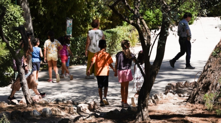 Δήμος Αθηναίων: «Αγκαλιά με ένα δέντρο συνυπάρχω»