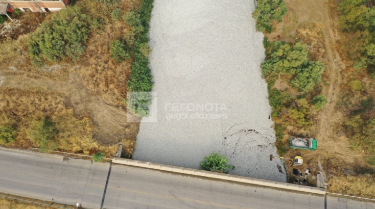 «Καλύτερα να αποτεφρωθούν» τα νεκρά ψάρια στον Παγασητικό - Τεράστια η περιβαλλοντική καταστροφή, λέει καθηγητής του ΑΠΘ