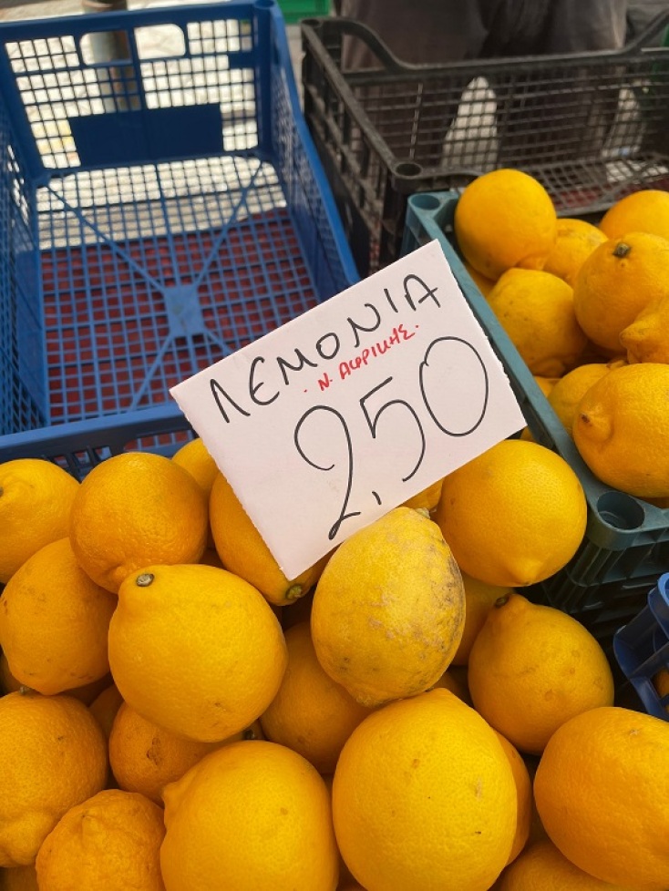 Άννα Διαμαντοπούλου από τα Γρεβενά: Κραυγή αγωνίας από τον αγροτικό τομέα και λεμόνια.. Νότιας Αφρικής 