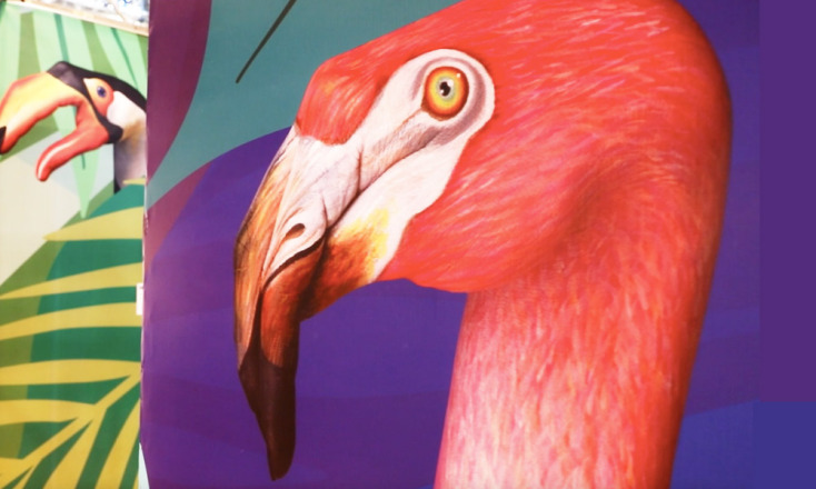 Γκουίντο Ντανιέλε: Handimals