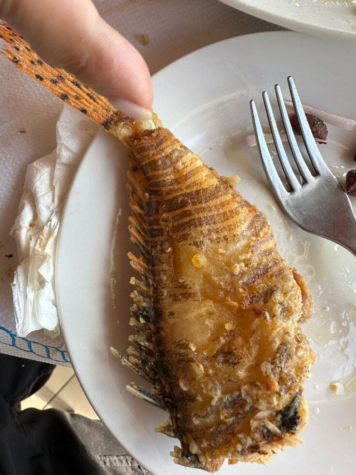 Στάμα, Ρόδος