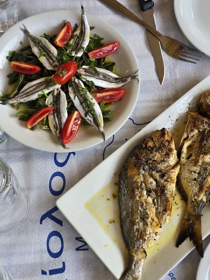 Ταβέρνα Αίολος, Πήλιο