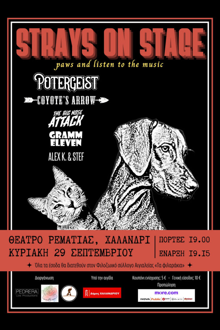 Strays on Stage, συναυλία για να βοηθήσουμε τα αδέσποτα