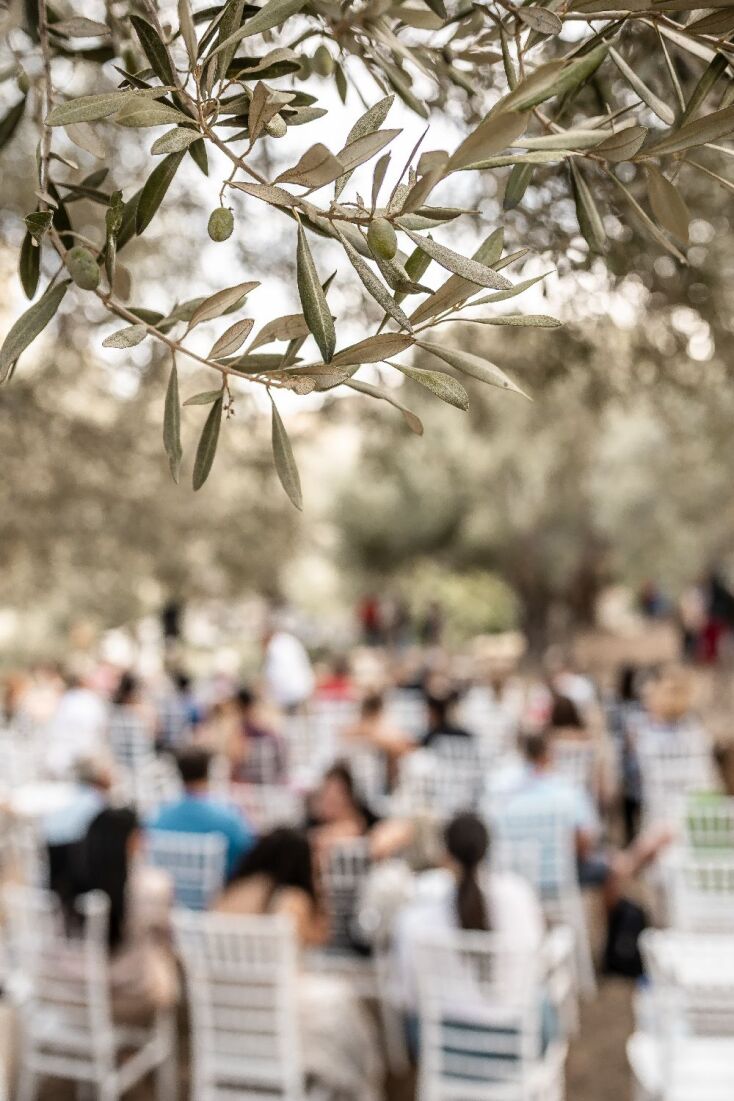 «Μια βραδιά κάτω από την ελιά»