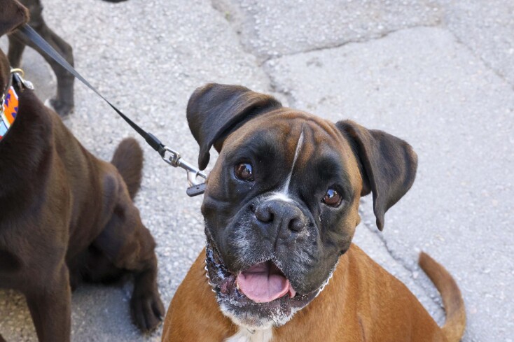 Γιάννης Τσακλάνης