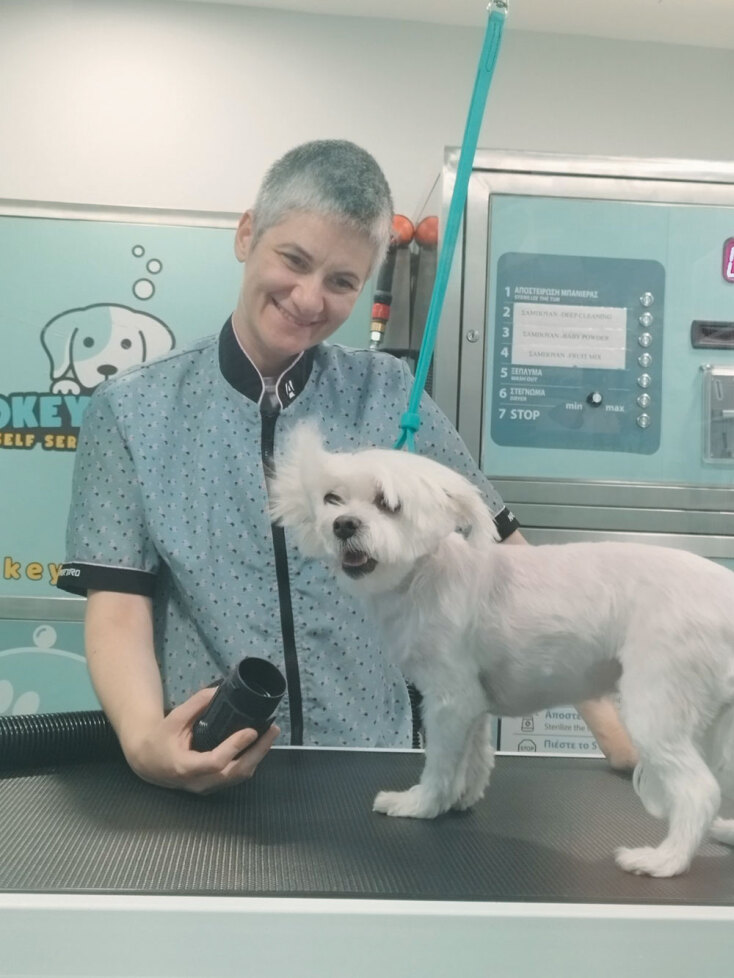 Okey Doggy: Το grooming που θες για τον σκύλο σου υπάρχει στα Εξάρχεια