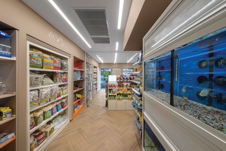 Pet Moustaches: Τα καλύτερα για τα ζωάκια μας!