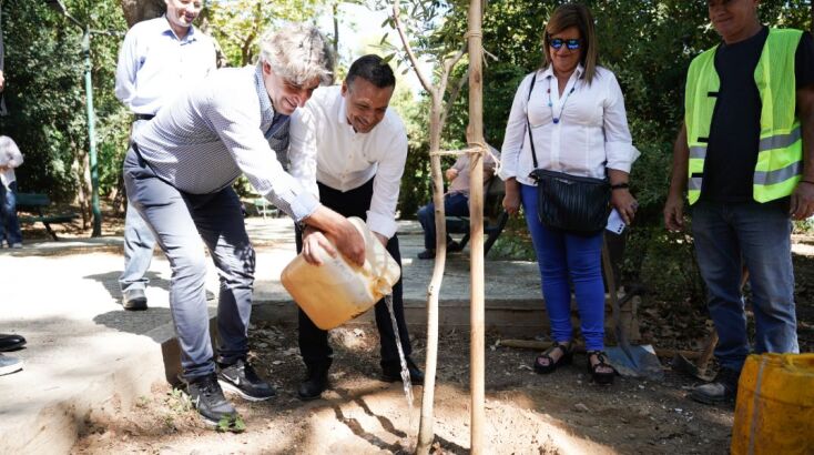 Δήμος Αθηναίων: Η Αθήνα πρασινίζει