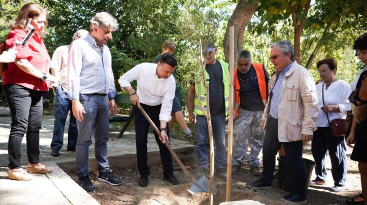 Δήμος Αθηναίων: Η Αθήνα πρασινίζει