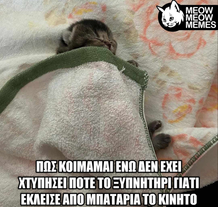 yolo-symbainoun-auta