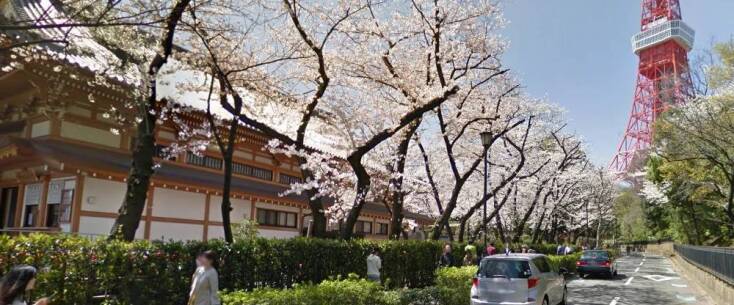Ανθισμένες κερασιές στο Τόκιο © Google Street View