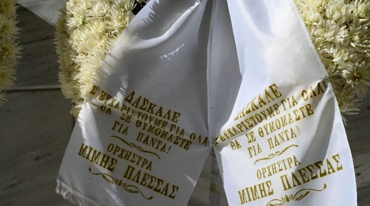 mimhs-plessas-khdeia