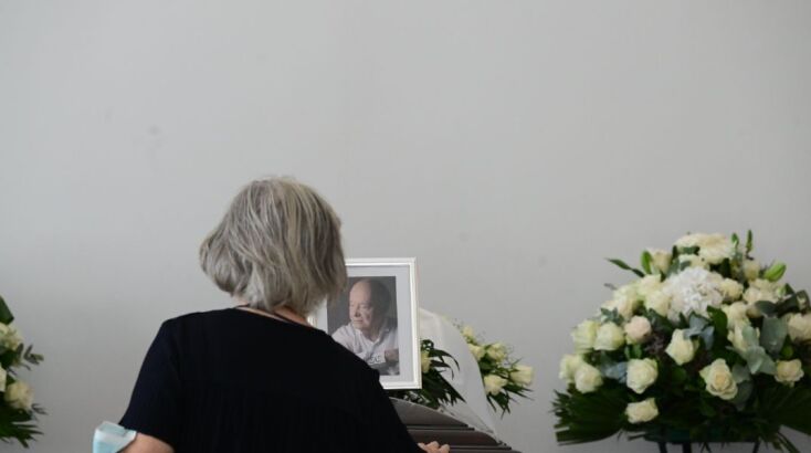 mimhs-plessas-khdeia__10_